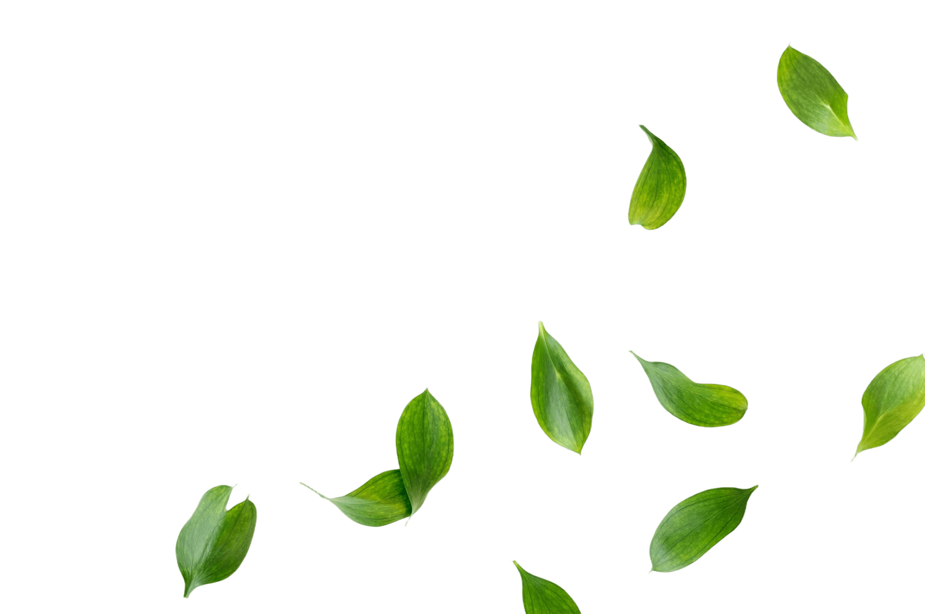 green-leaves