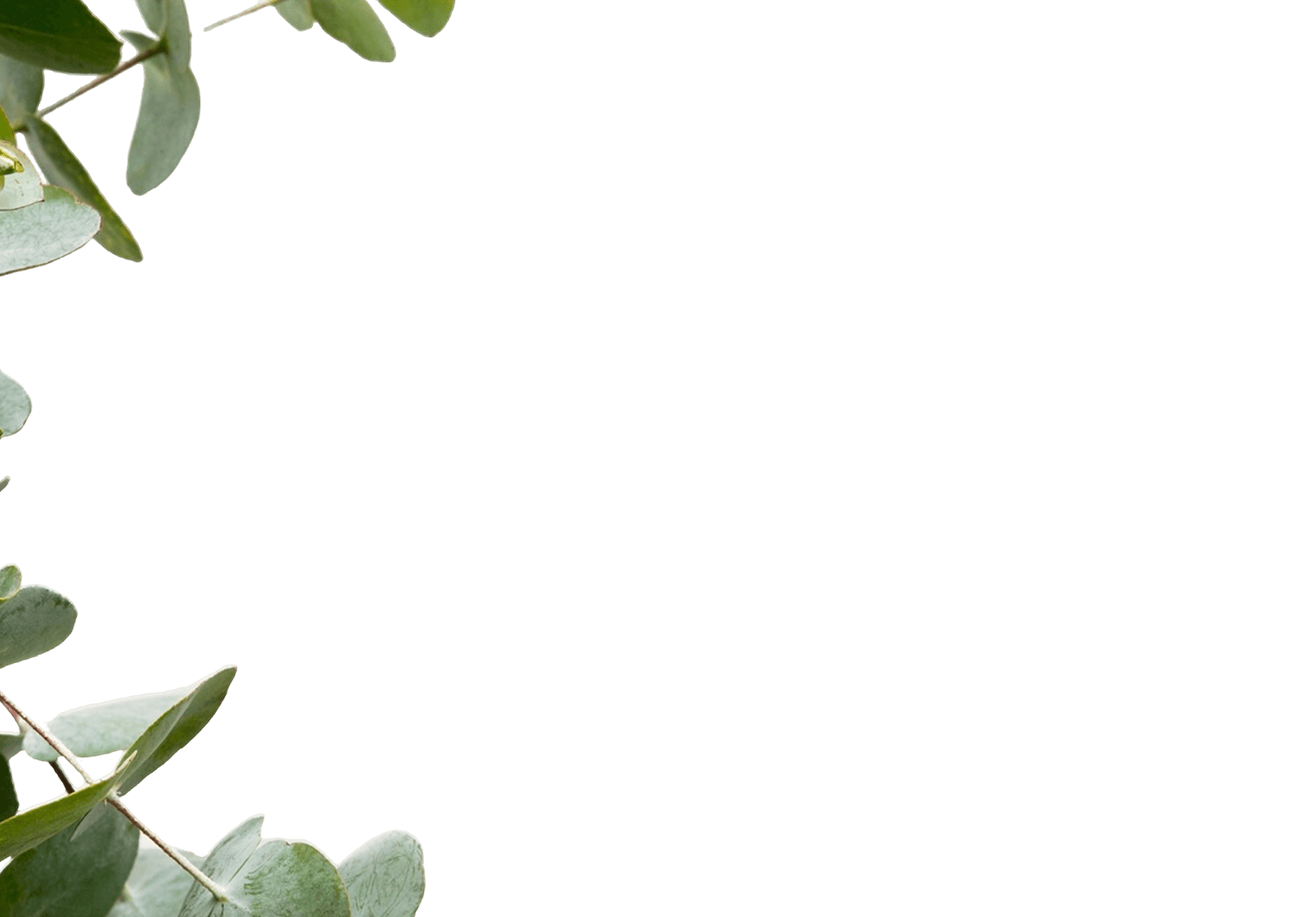 plant-frames